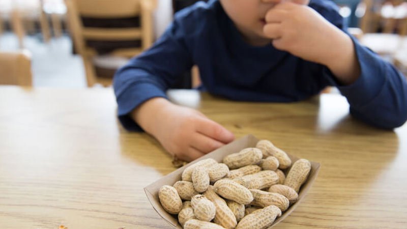 Early Peanut Reduces Allergy