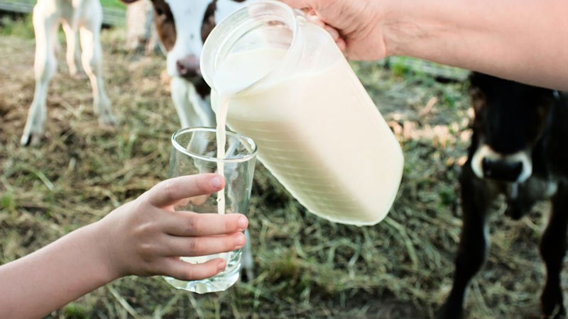 Raw Milk Contaminated